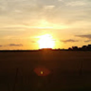 Meet your Posher, Jodi